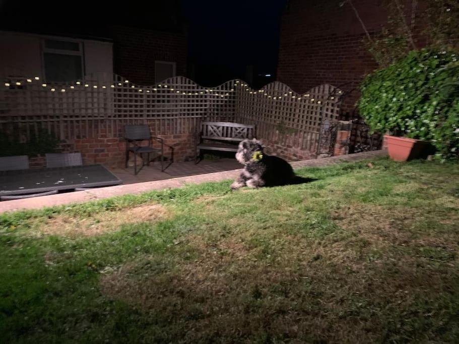 Holiday home Award Winning Pet Friendly Paddock