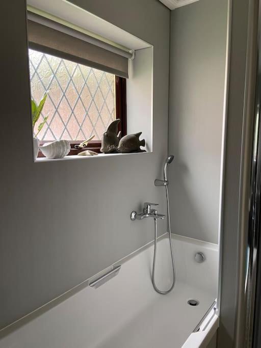 Holiday home Award Winning Pet Friendly Paddock