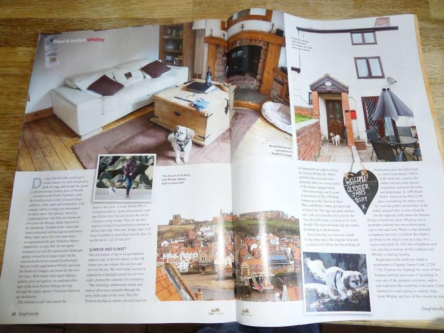 Award Winning Pet Friendly Paddock Holiday home *