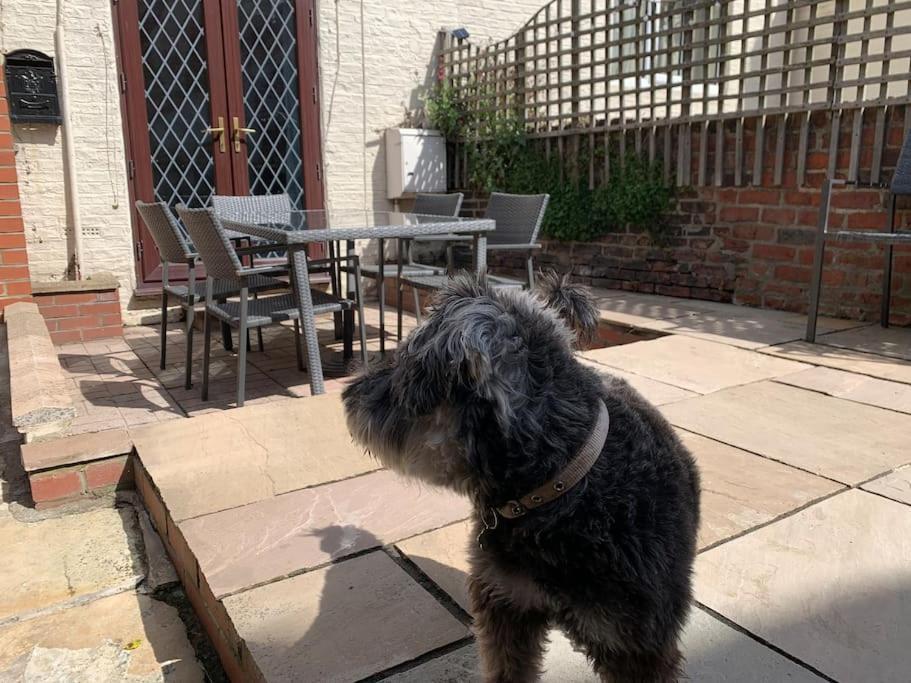 Holiday home Award Winning Pet Friendly Paddock *