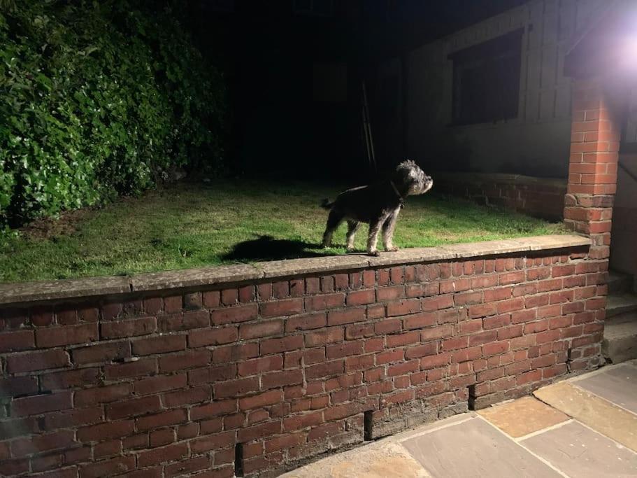 Award Winning Pet Friendly Paddock * Whitby