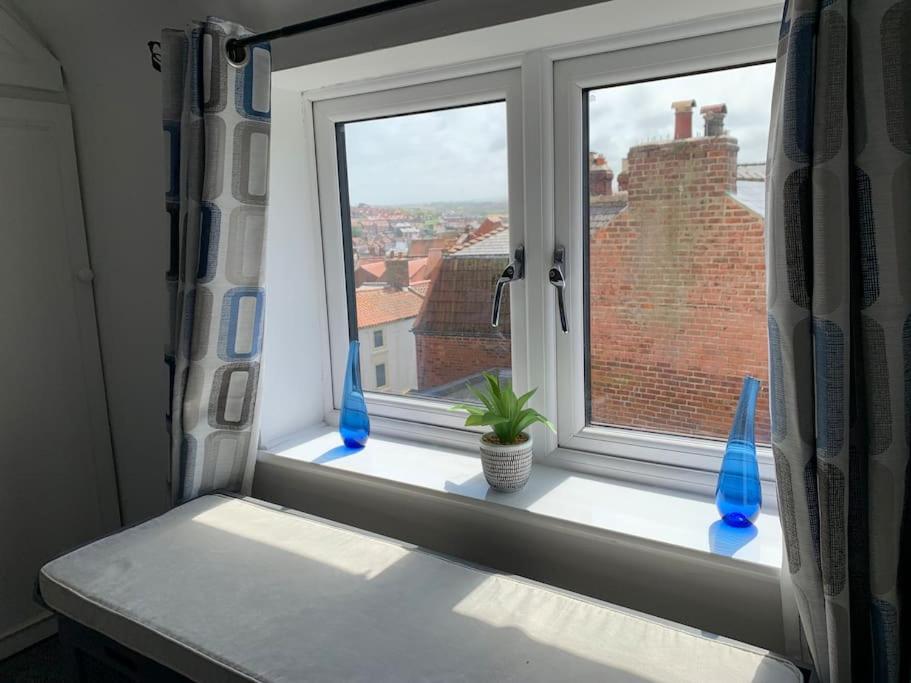 Award Winning Pet Friendly Paddock * Whitby