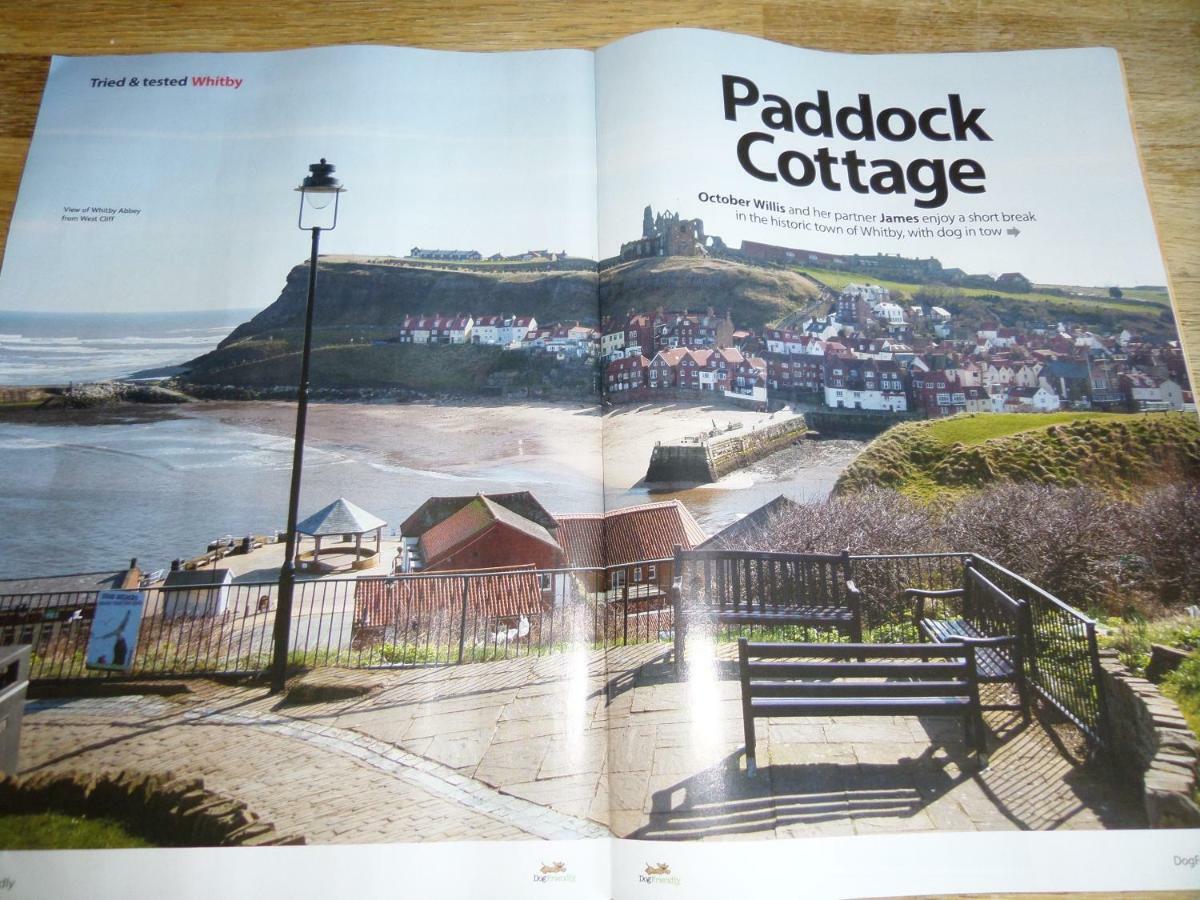 Award Winning Pet Friendly Paddock Holiday home *